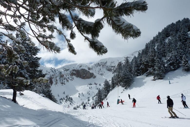 You are currently viewing Masella